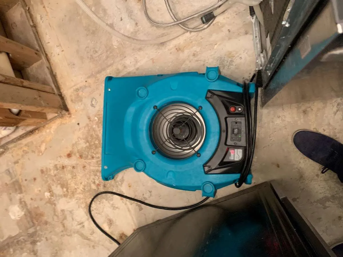 Air mover drying equipment for Mold Remediation & Removal in Perinton